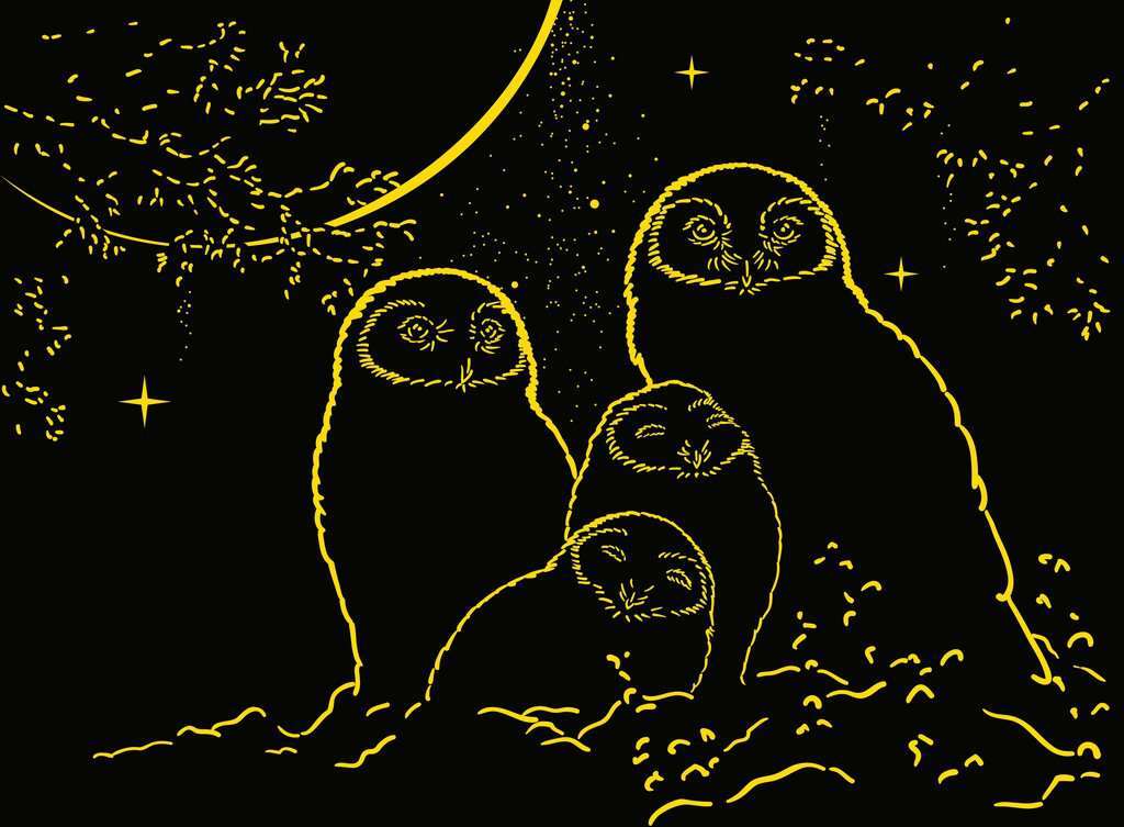 Glow in the Dark: Owls in the Moonlight Puzzle (500 pc)