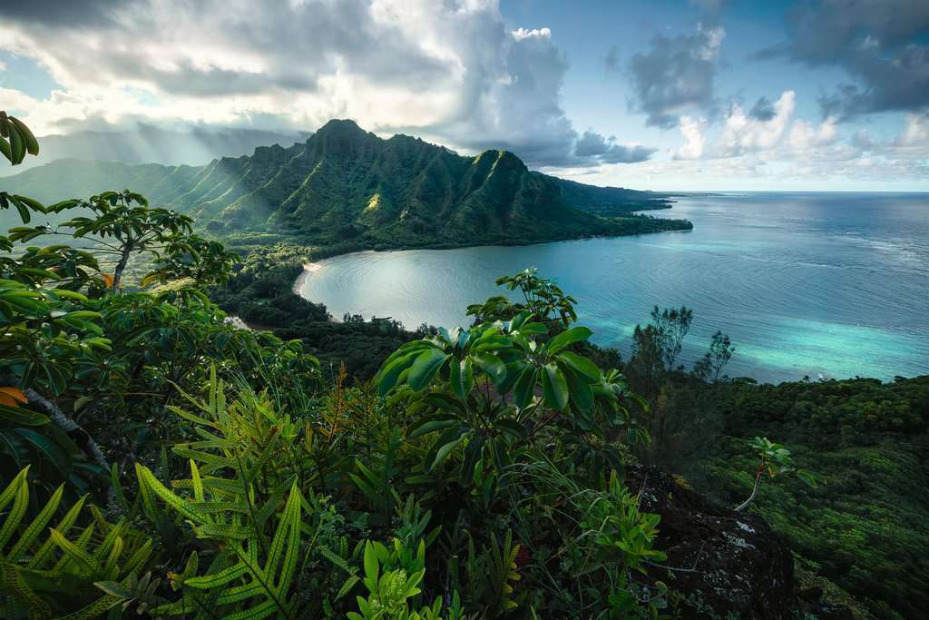 Hawaiian Viewpoint 5000 Pc Puzzle