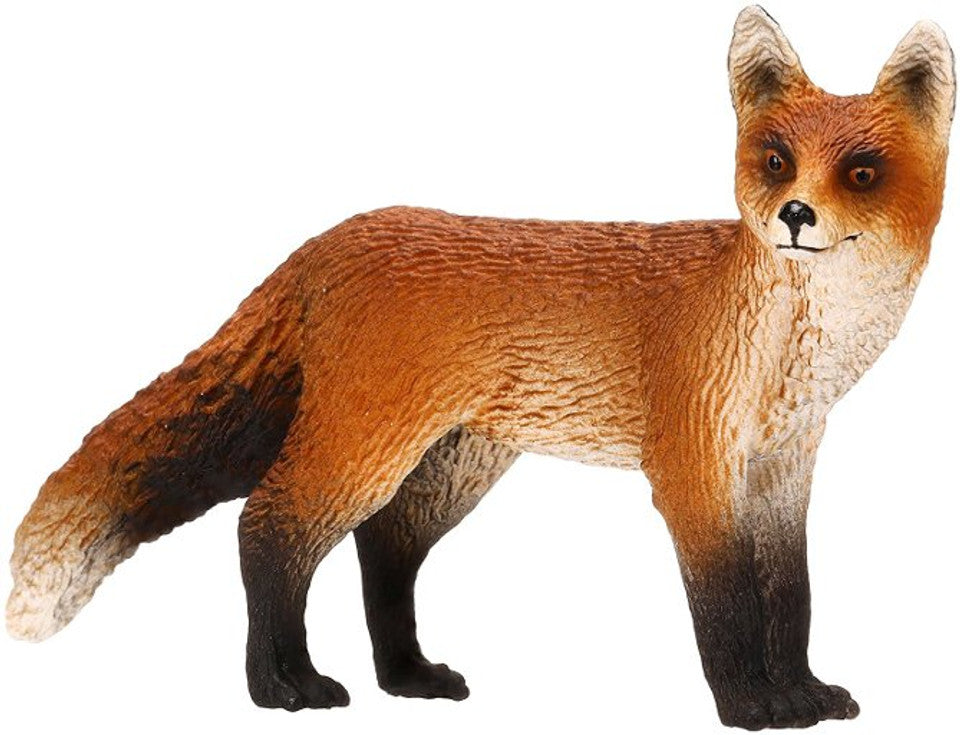Fox