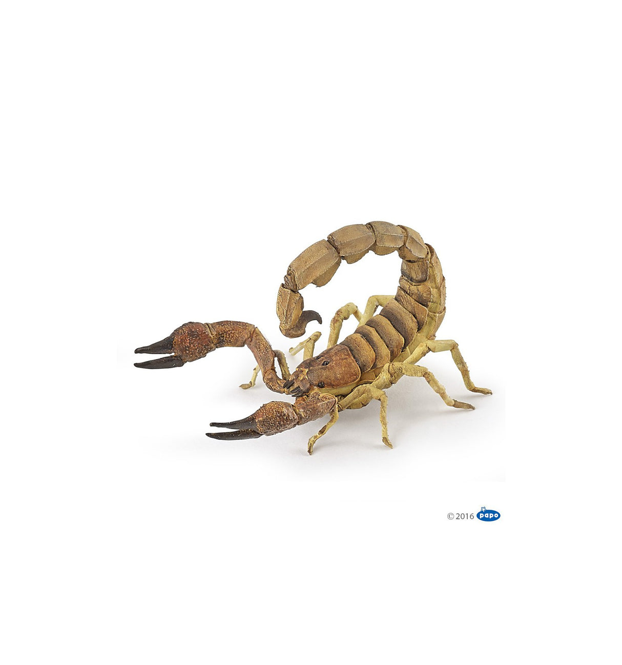 scorpion
