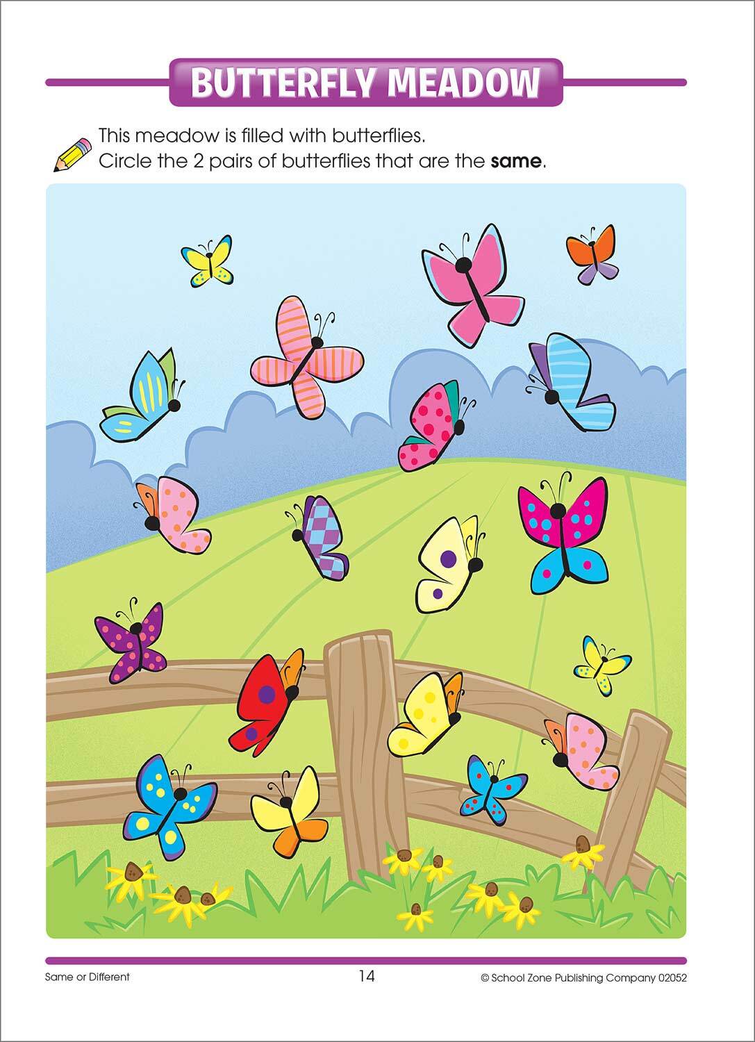 Same or Different Preschool Workbook