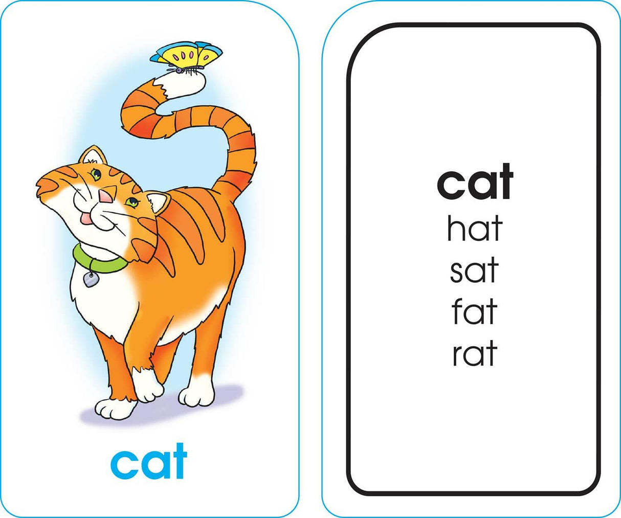 Word Families Flash Cards