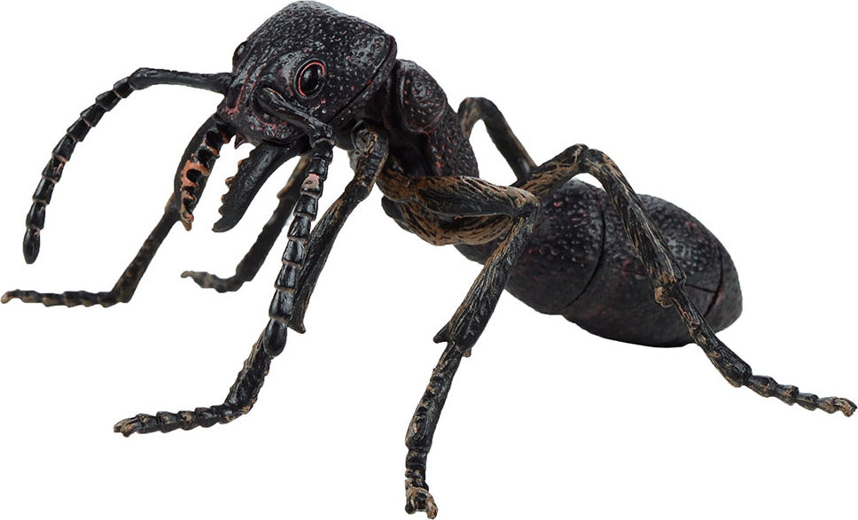 Gross Insects 3D Puzzle (assorted styles)