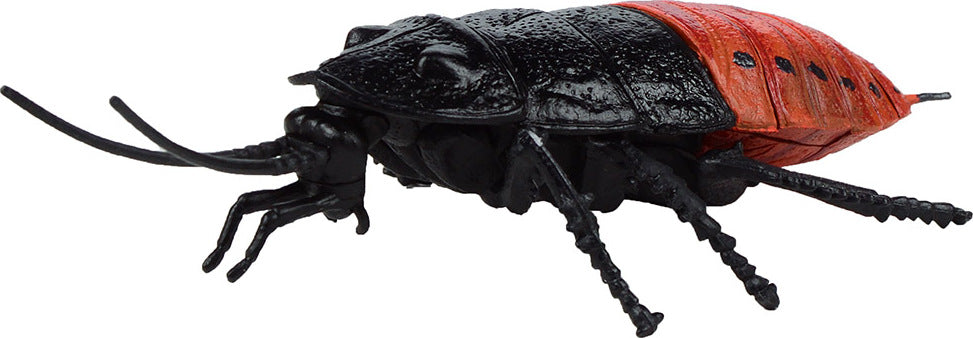 Gross Insects 3D Puzzle (assorted styles)