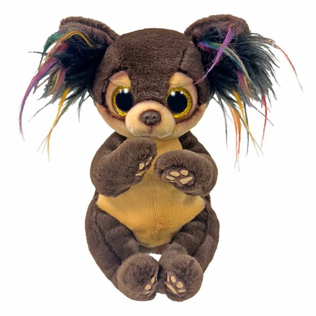 Toffee Brown Belly Dog Small