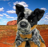 Dexter Australian Cattle Dog