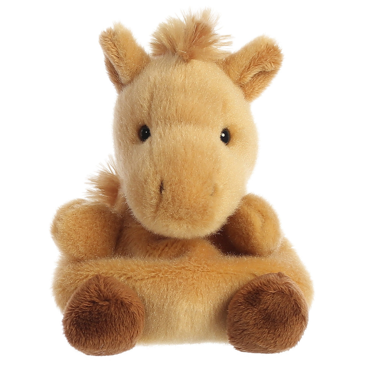Gallop Pony