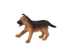 German Shephard Puppy
