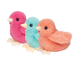 Colorful Chicks