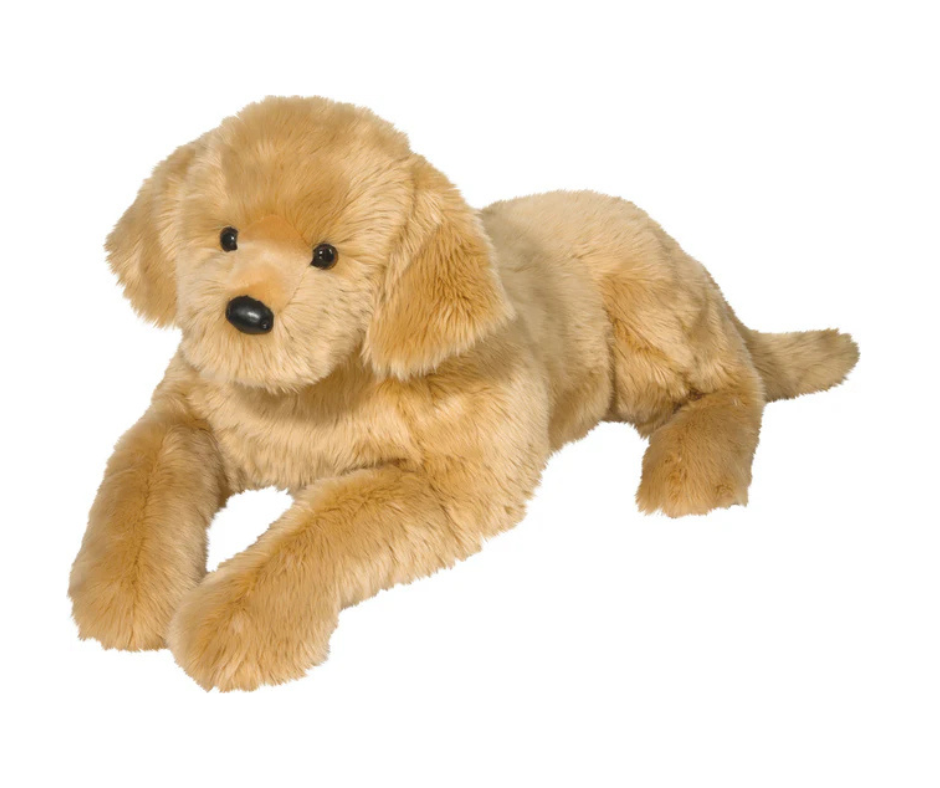 Sherman Golden Retriever