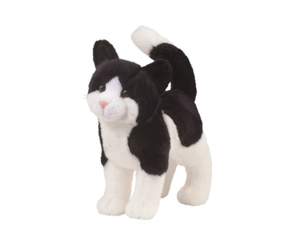 Scooter Black & White Cat