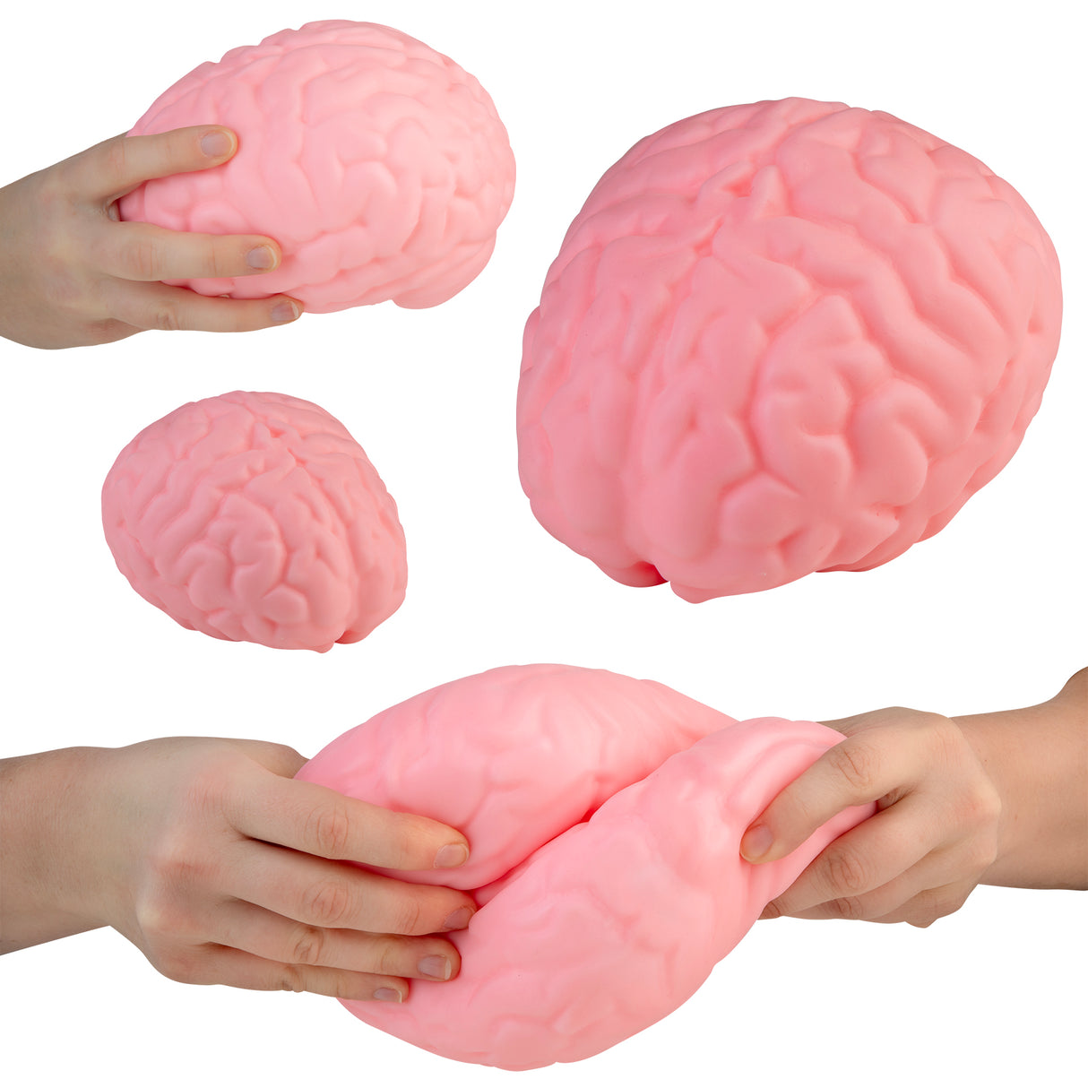 Orb Easy Sqweezy Jumbo Brain