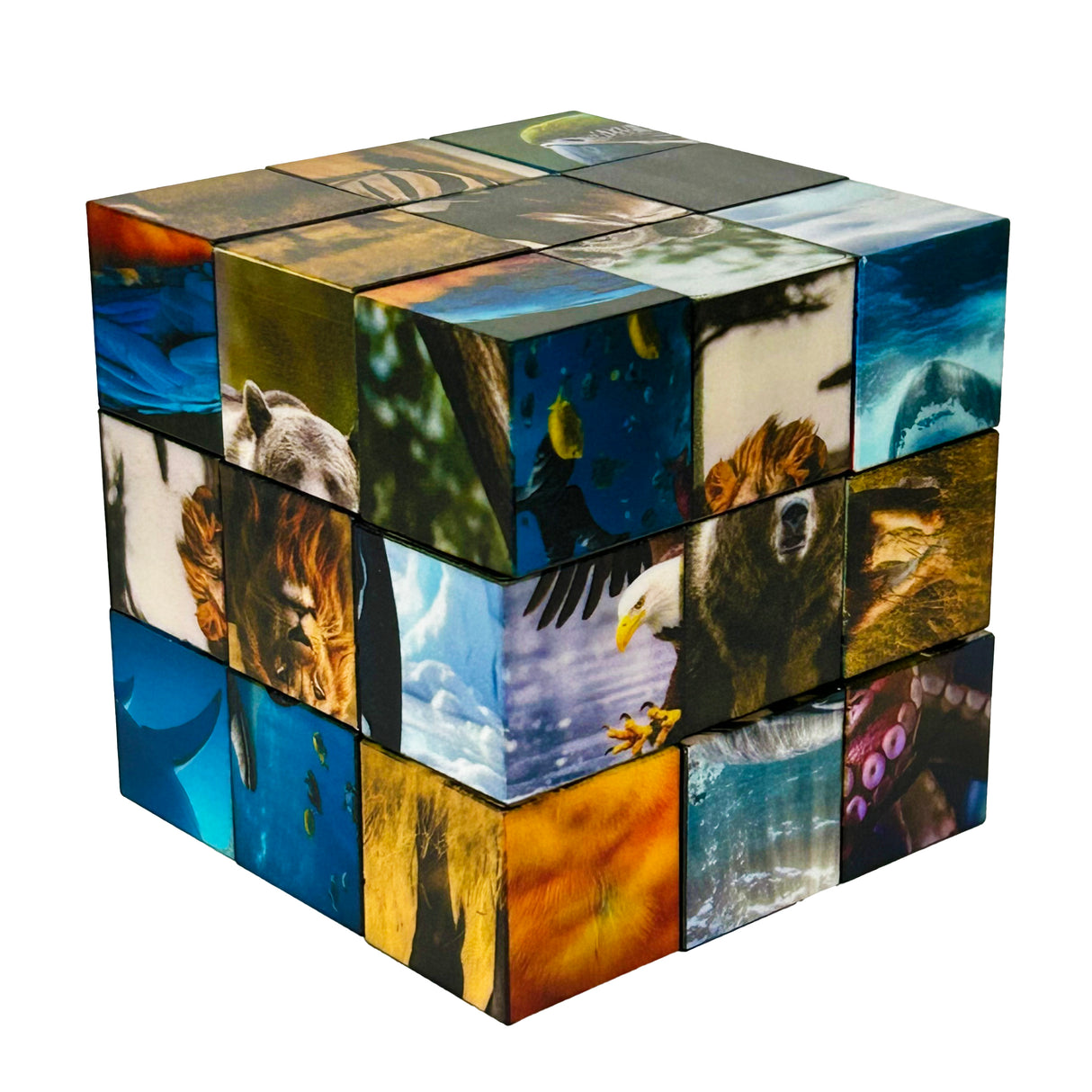 Click Block Puzzle 27 piece