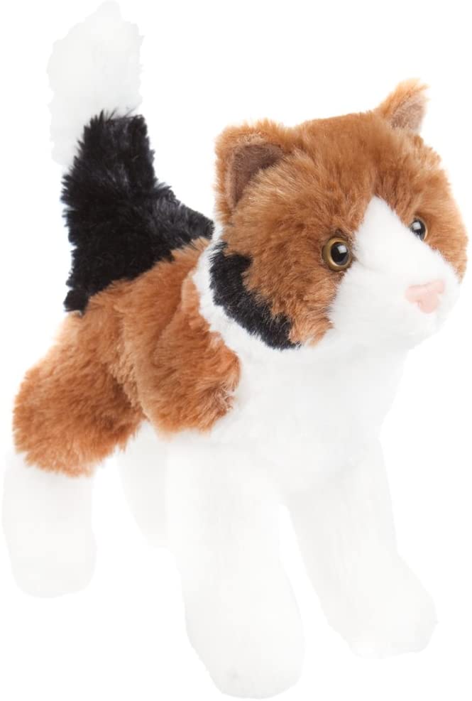 Maps Calico Cat