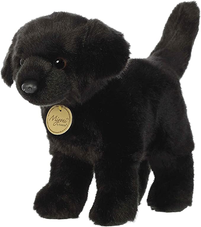 Minyoni Black Lab
