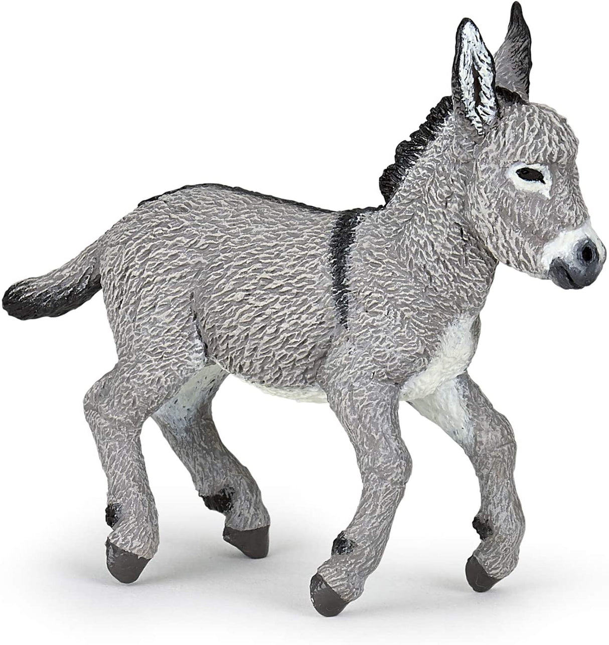 Provence Donkey Foal