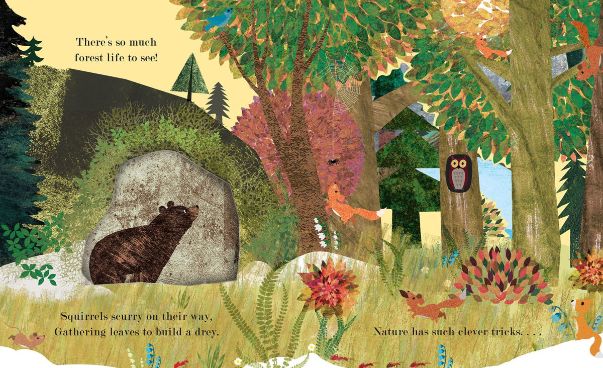 Home A Peek-Through Board Book