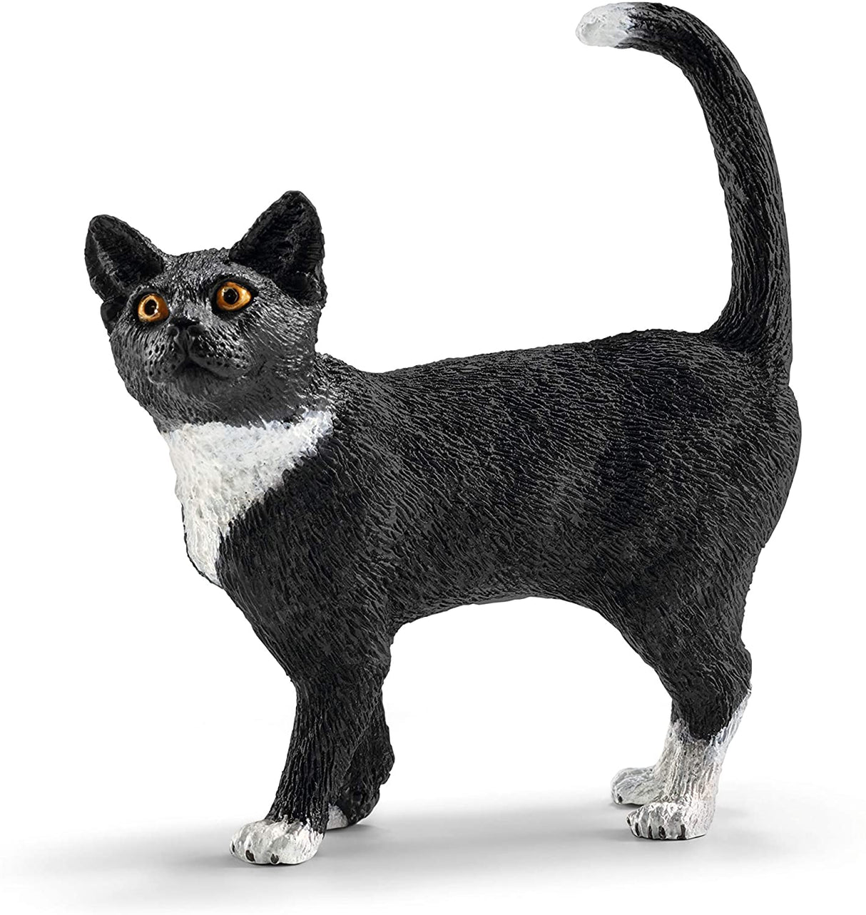 Black and White Standing Cat