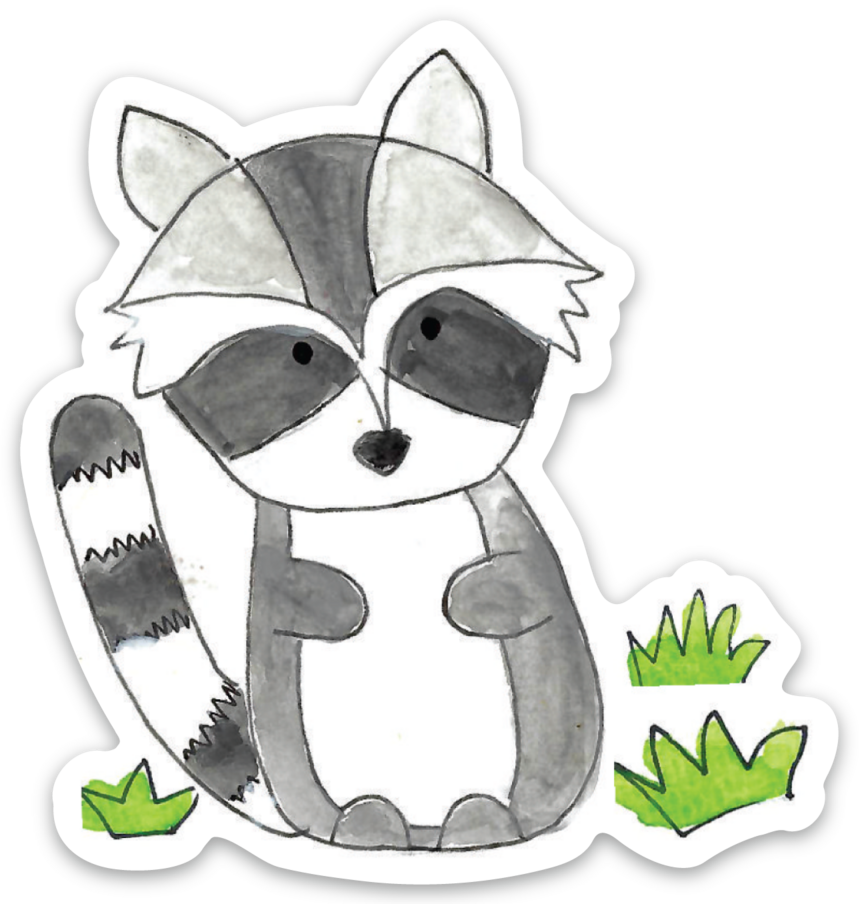 Raccoon