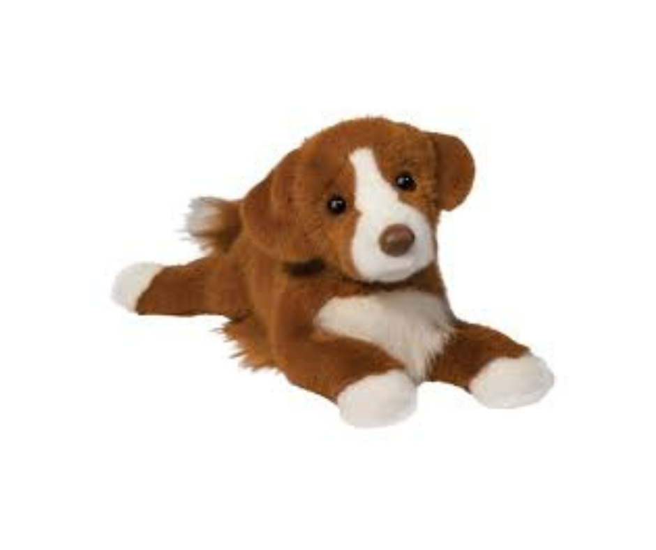 Rush Duck Tolling Retriever