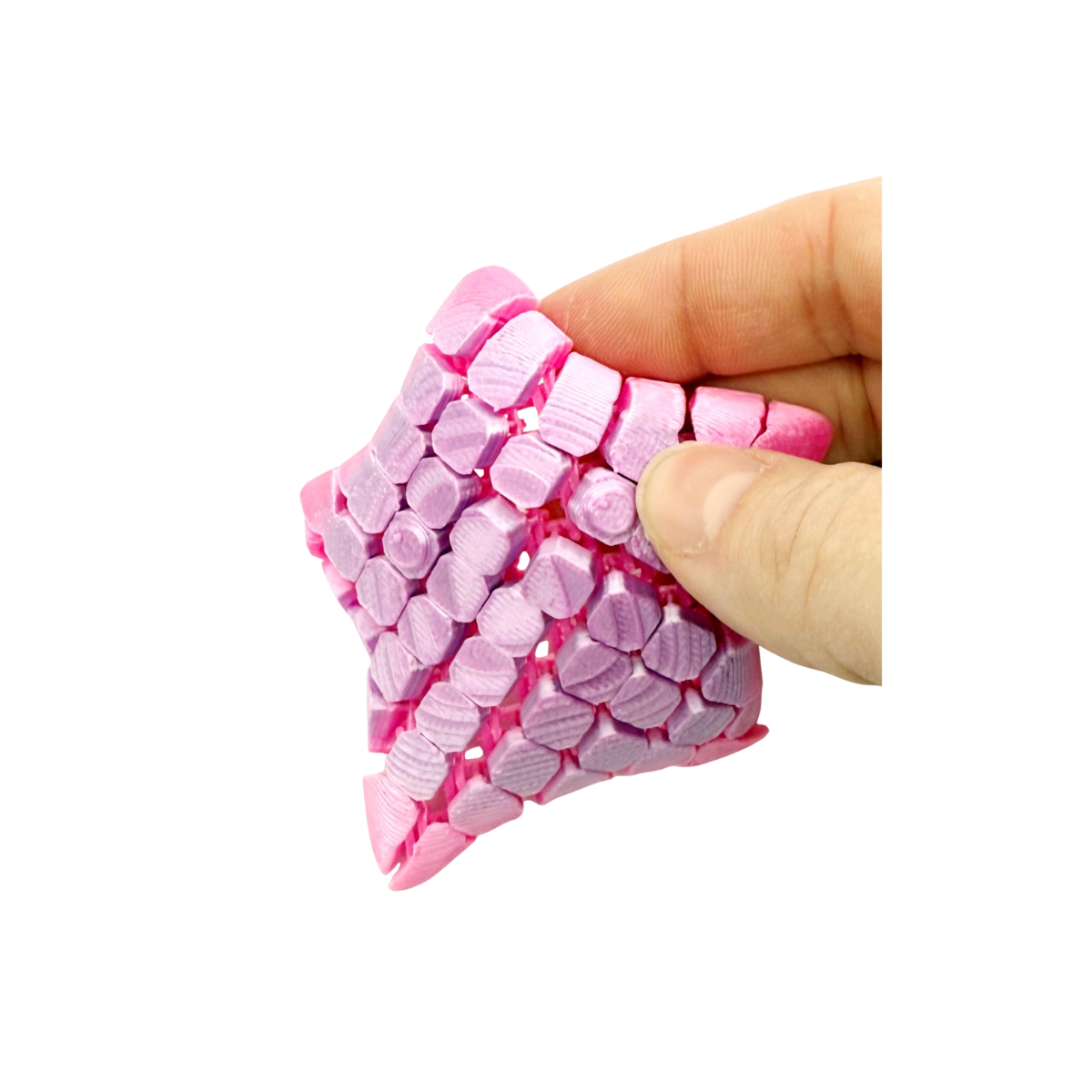 3D Printed Small Floppy Variety