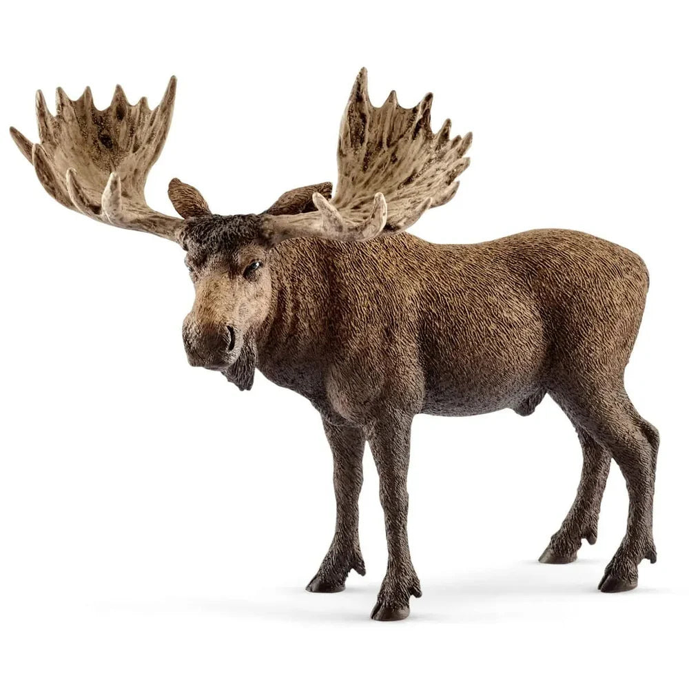 Moose Bull Schleich