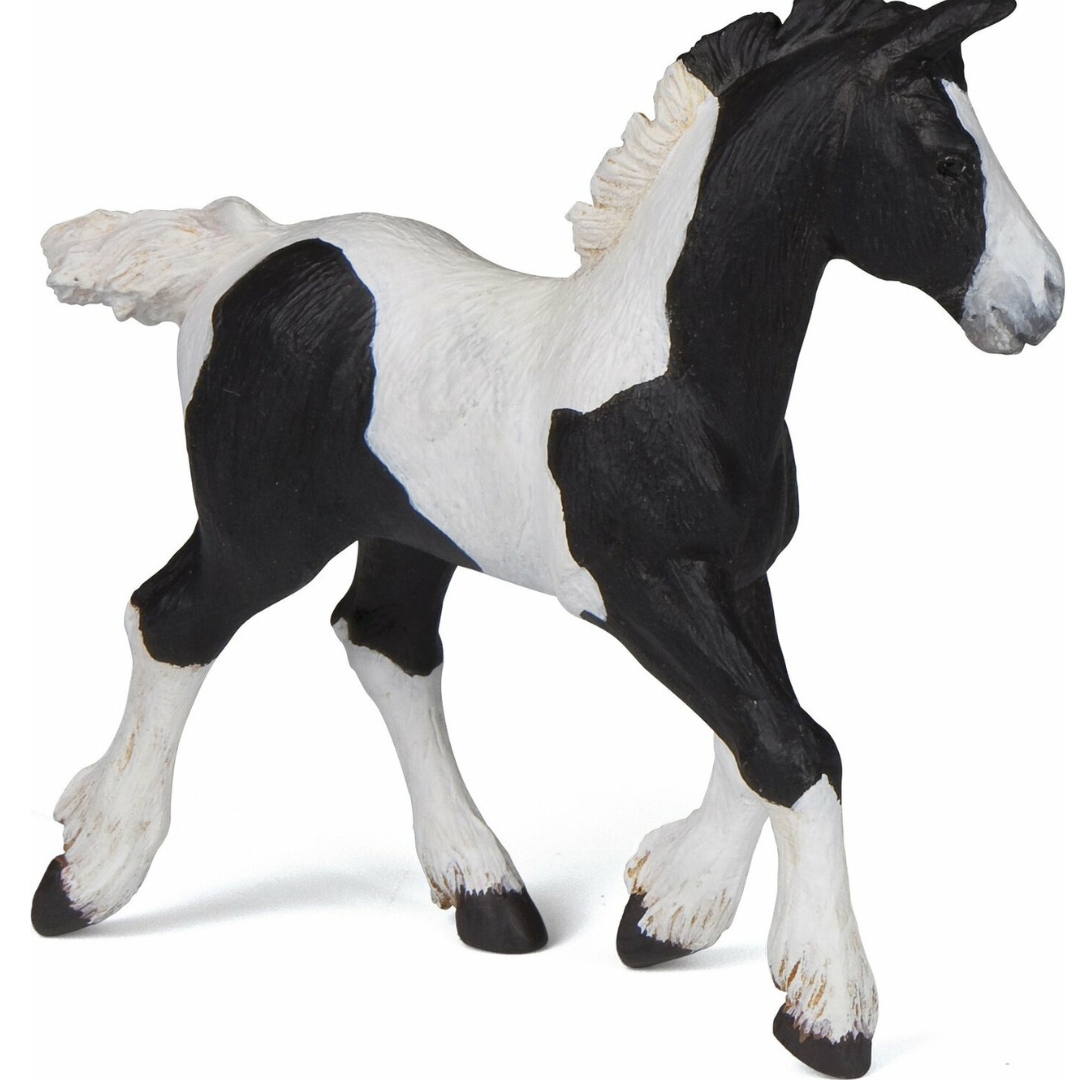 Black Piebald Cob Foal