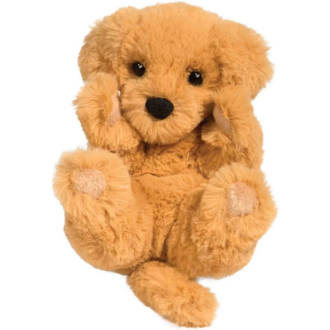 Golden Retriever Lil Handful