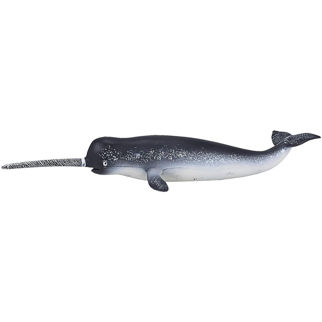Narwhal