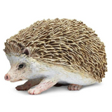 Hedgehog Toy