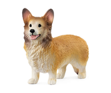 Welsh Corgi