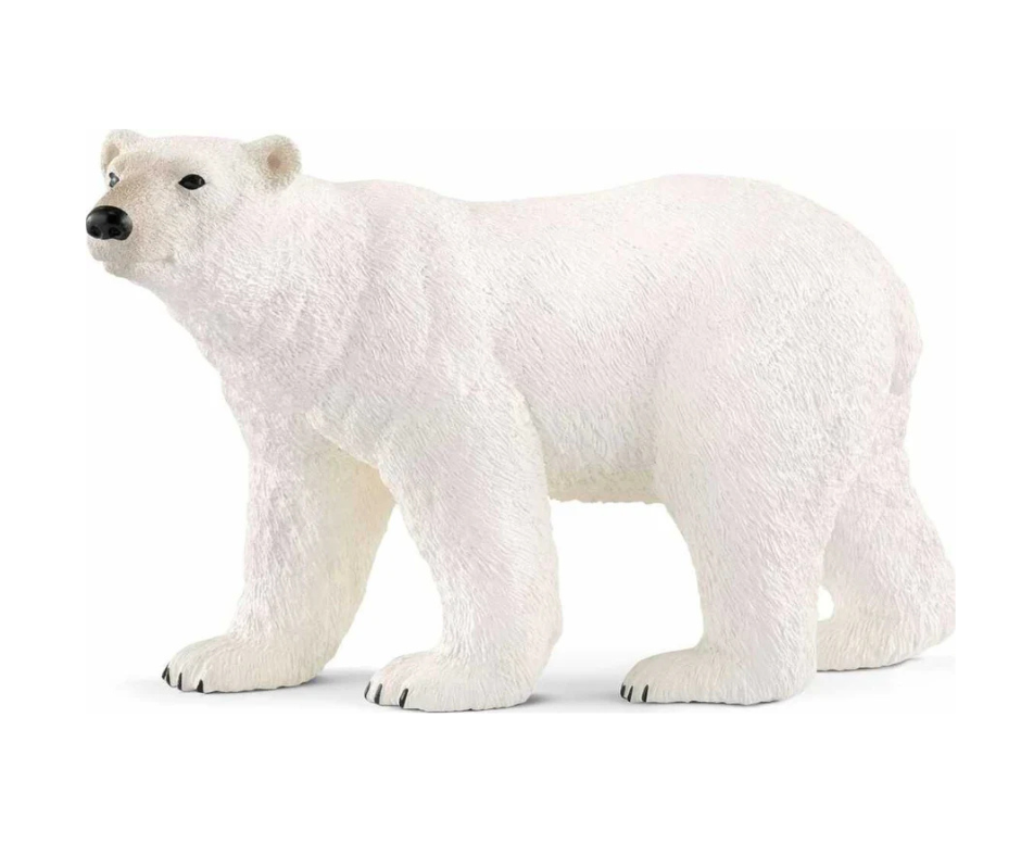 Polar Bear