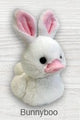 WSW BunnyBoo Duckee