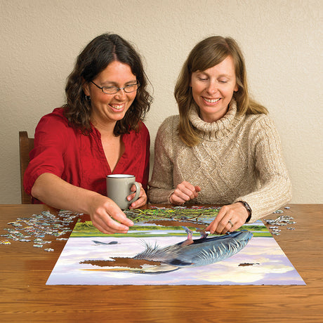 Heron puzzle (1000 pc)