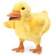 Folkmanis Puppet Duckling