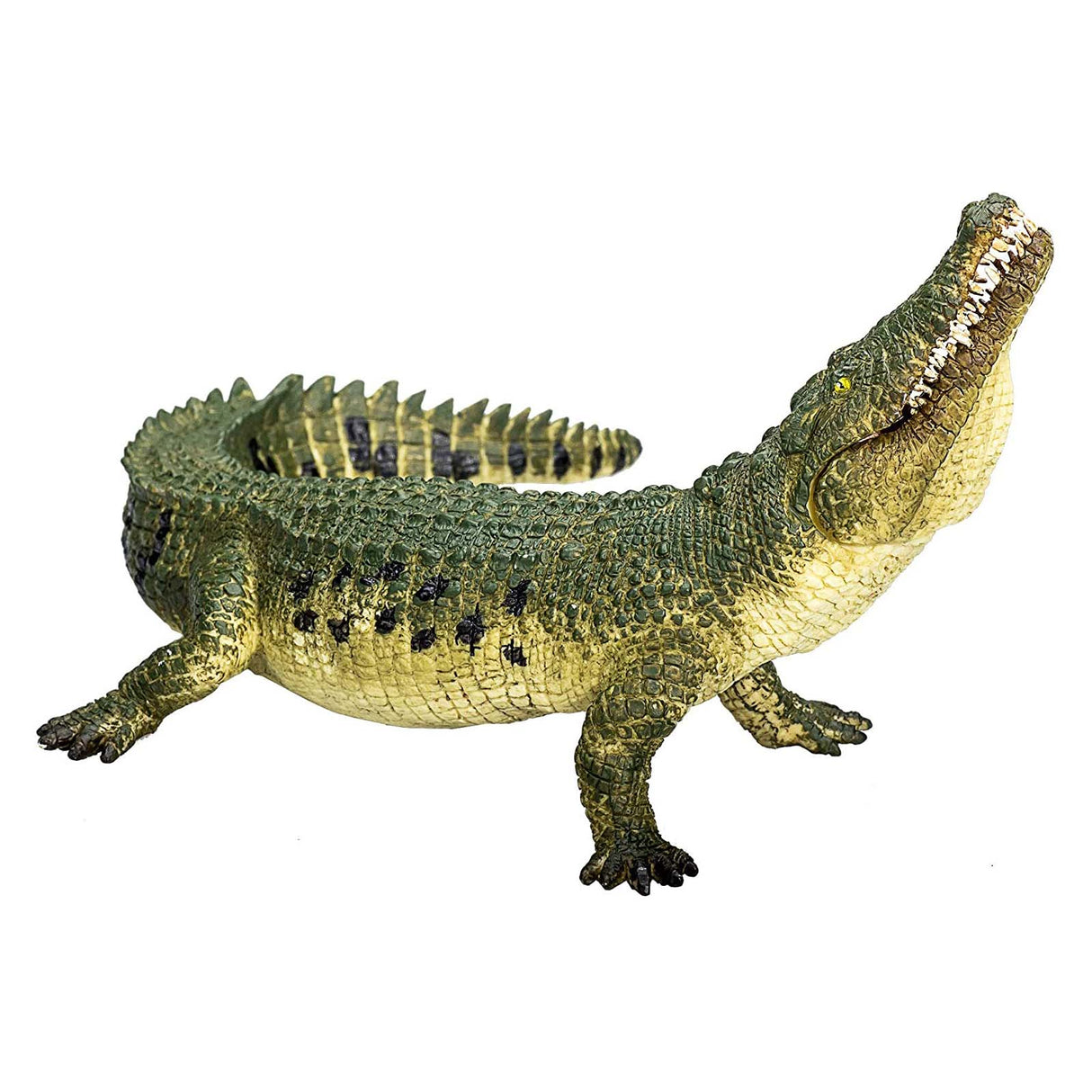 Crocidile with Articulated Jaw