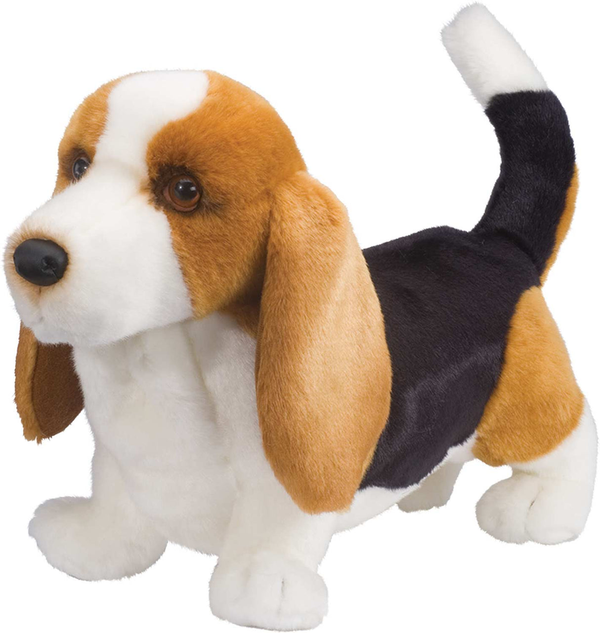Basset Hound Harold