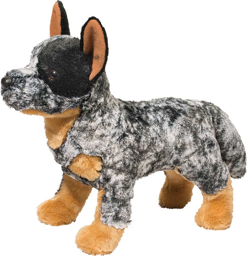 Bolt Aus Cattle Dog