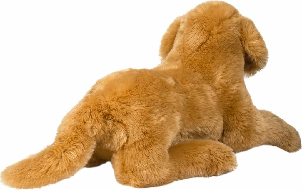 Sherman Golden Retriever, Medium