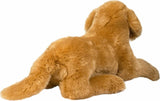 Sherman Golden Retriever, Medium