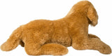 Sherman Golden Retriever, Medium
