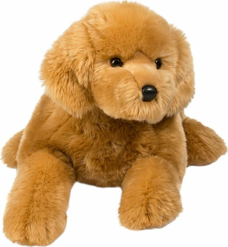 Sherman Golden Retriever, Medium