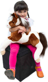 Natches Paint Horse