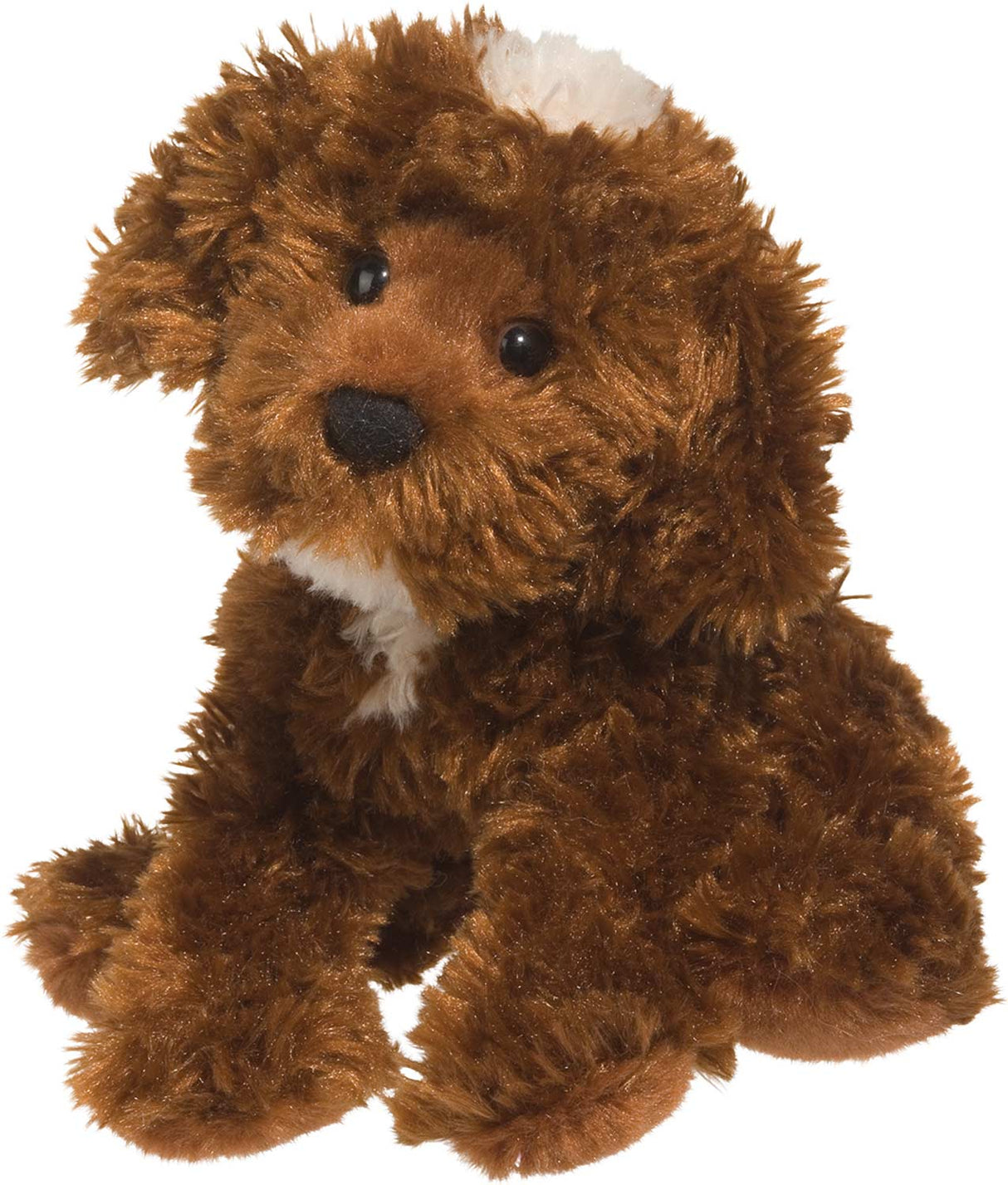 Bosco Chocolate Labradoodle