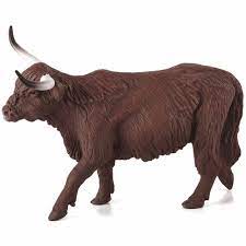 Highland Cow
