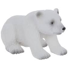 Polar Bear Cub Sitting