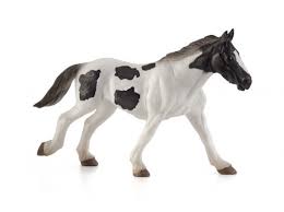 Tinker Yearling