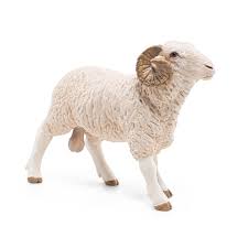 Ram
