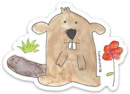Beaver