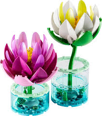 Botanicals Water Lillies